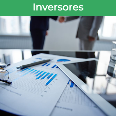 Inversores